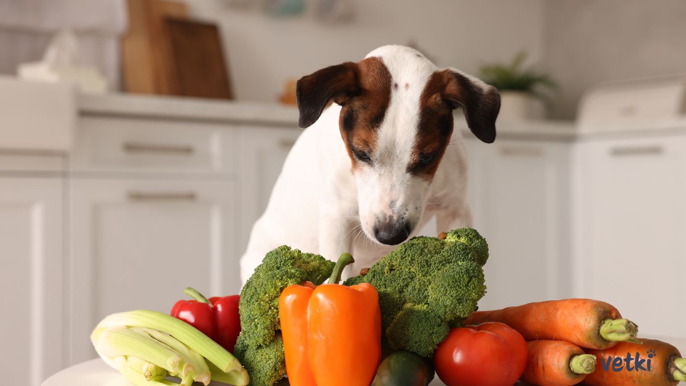 Podpora střevního mikrobiomu u psa probiotiky